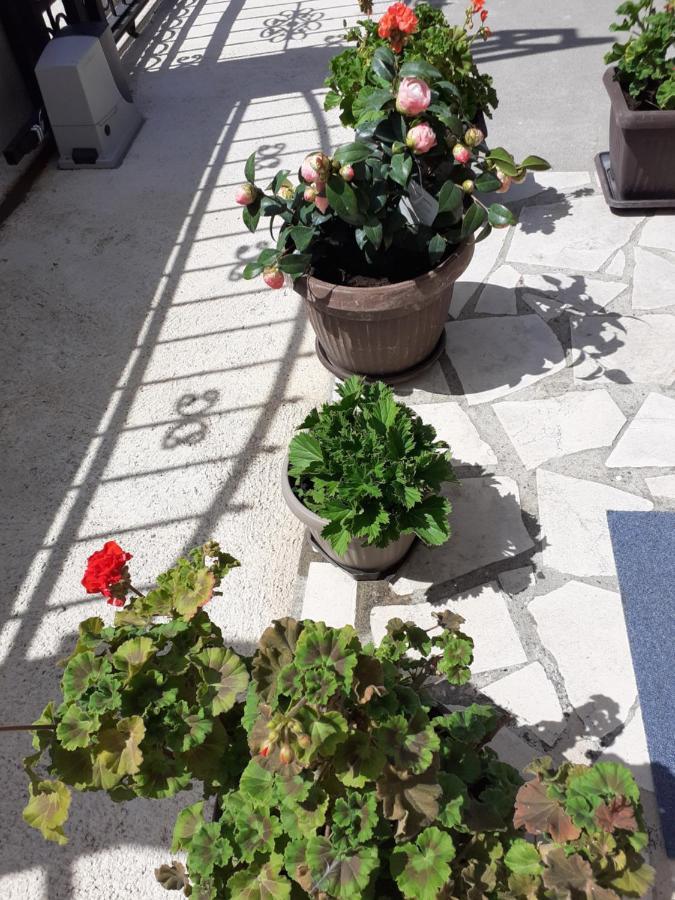 Apartment K2 Radanovići Exteriör bild