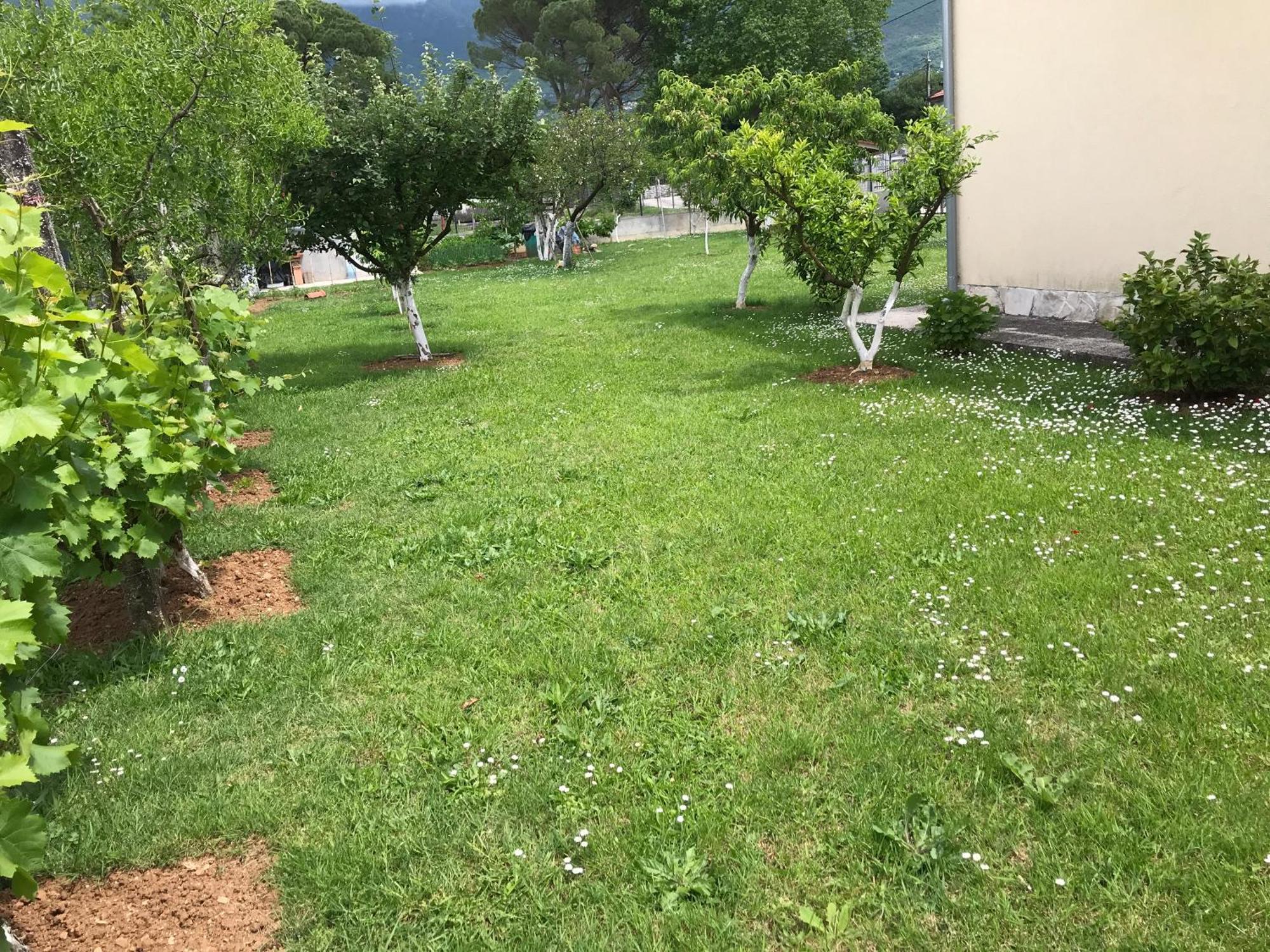 Apartment K2 Radanovići Exteriör bild